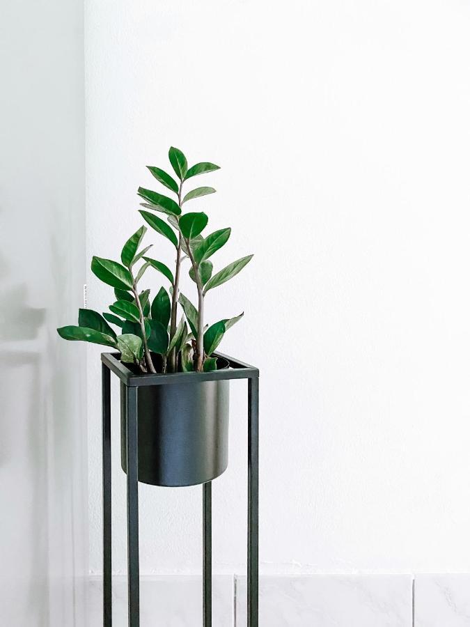 Sali Modern Seaview Apartment المظهر الخارجي الصورة