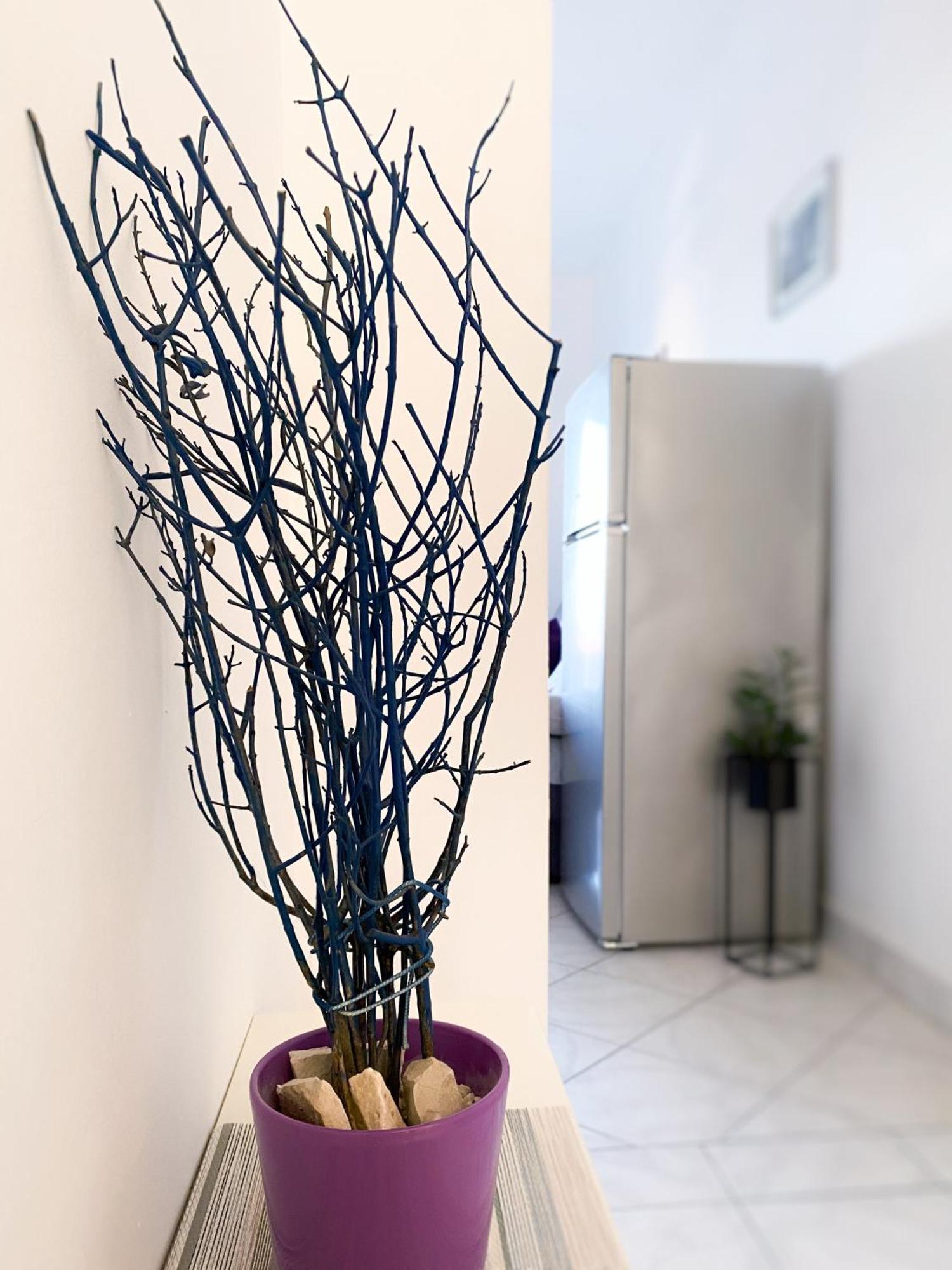 Sali Modern Seaview Apartment المظهر الخارجي الصورة